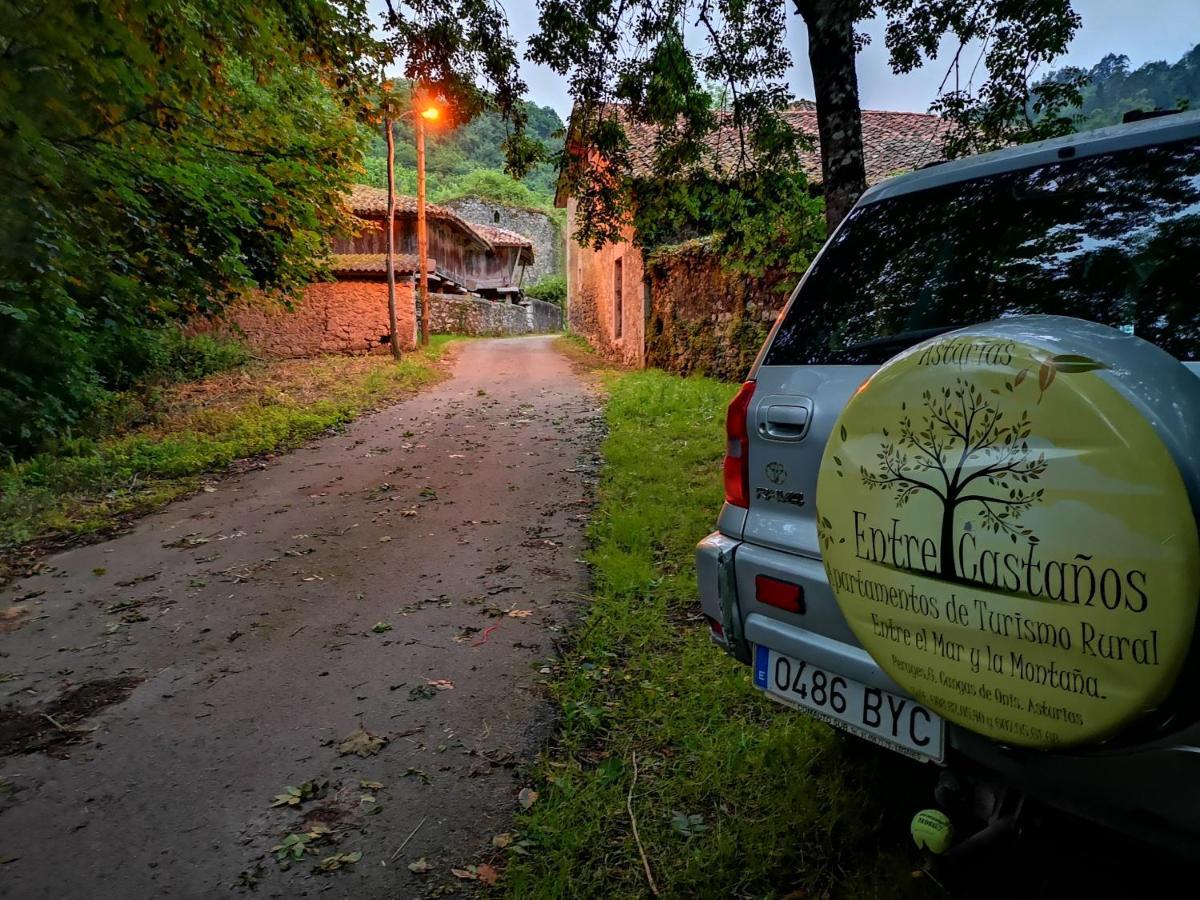 Casas Rurales Entrecastanos Onís Esterno foto